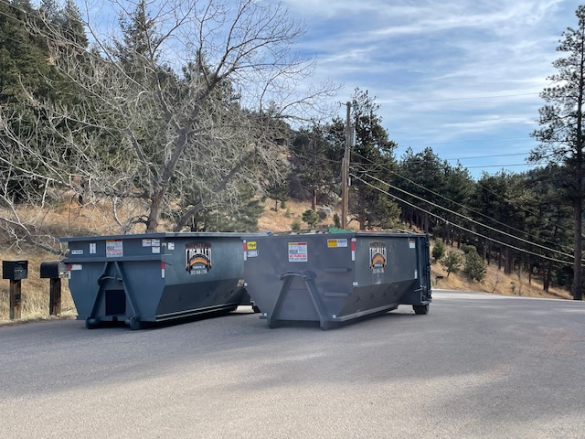 two residential dumpsters on the road.